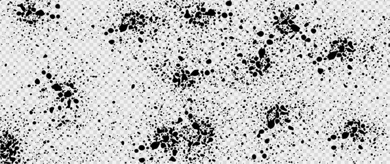 Black blobs isolated on white. Ink splash. Brushes droplets. Grainy texture background. Digitally generated image. Vector illustration, EPS 10.