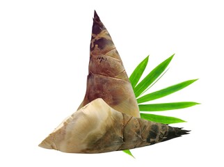 Two bamboo shoots are placed on a white background.