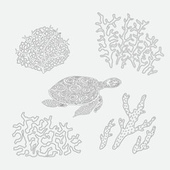 Hand drawn illustration of turtle and coral reef collection for coloring page