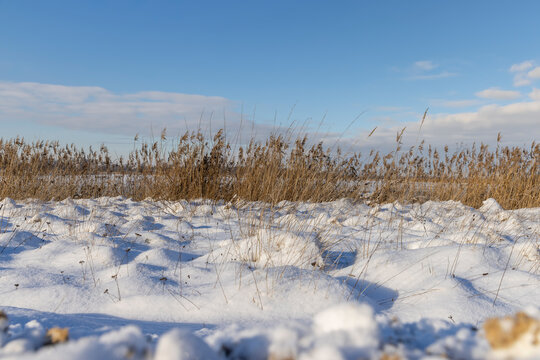 an ice covered river in winter