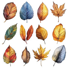 Obraz premium Watercolor Autumn Leaves Collection.