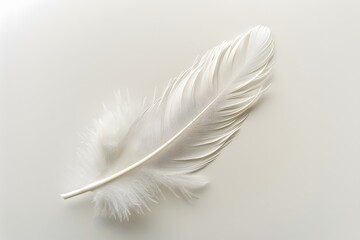 Obraz premium Delicate White Feather on a Light Background