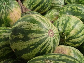 Close up photo of watermelon on a market