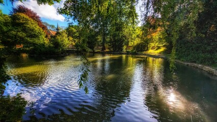 Pond reflections