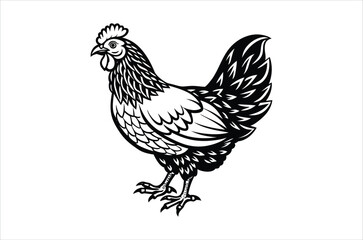 hen and chicken, chicken vector,  icon vector illustration, chicken  silhouette of a chicken isolated on a white background,  eps,  png,  svg,  vector 