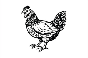hen and chicken, chicken vector,  icon vector illustration, chicken  silhouette of a chicken isolated on a white background,  eps,  png,  svg,  vector 