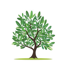 Obraz premium Olive tree green. clipart for icon logo Vector illustration. Isolated transparent background
