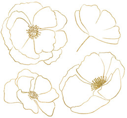 Hand drawn wildflowers, golden outlines poppy flowers isolated illustration, wedding stationery © katrinshine