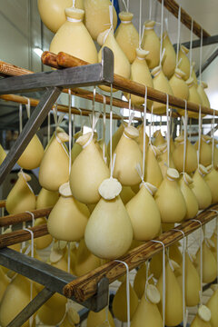 Traditional Sardinian Peretta cheese hanging on supports