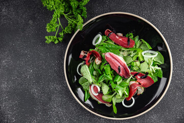 duck breast salad smoked duck meat magret natural fresh appetizer meal food snack on the table copy space food background
