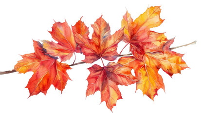 PNG Vibrant autumn maple leaves illustration