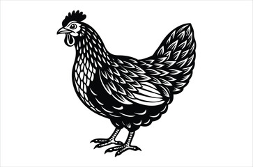 hen and chicken, chicken vector,  icon vector illustration, chicken  silhouette of a chicken isolated on a white background,  eps,  png,  svg,  vector 