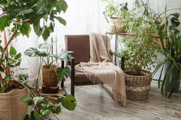 A fragment of the interior with a variety of indoor plants and plaster sculptures. Urban jungle concept. Biophilia design.