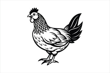 hen and chicken, chicken vector,  icon vector illustration, chicken  silhouette of a chicken isolated on a white background,  eps,  png,  svg,  vector 