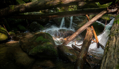 Waterfall with logs in the Roaring Fork Creek in the Great smoky Mountains