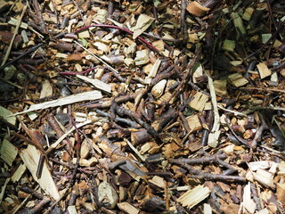 木片が散らばる地面の素材