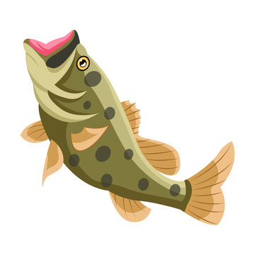 A flat style icon of largemouth bass fish 

