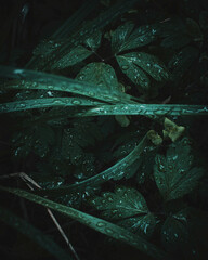 Landscape photography of Photobypal. Try to capture the mood that the landscape gives me. Hope you like it