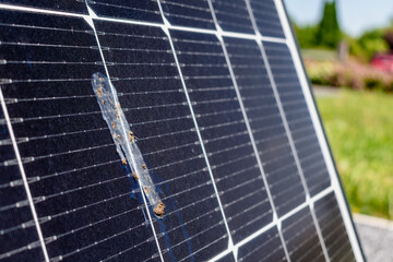 Dirty solar panels on a well-exposed wall of an individual house, making savings following the...