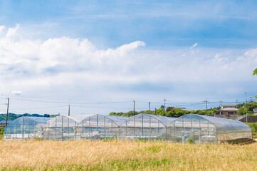 ビニールハウスと田園風景