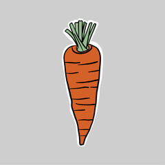 hand drawn doodle carrot clipart illustration