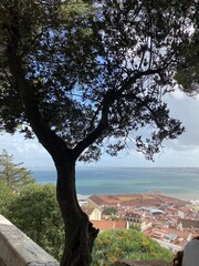 view from hill in lisbon