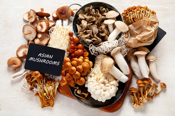 Asian raw mushrooms collection. Healthy food concept