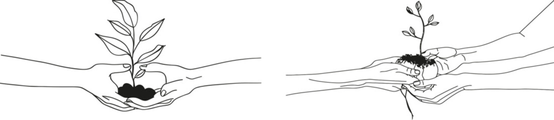 Modern EPS 10. Hands with Plant One Line Illustration. Minimalist Botanical Drawing. Tree with Leaves in Hands On White. Ecological Symbol. Modern EPS 10.