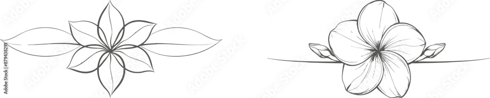 Poster plumeria flower drawn in one continuous line. frangipani blossoms in simple linear style for natural