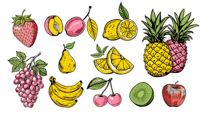 Vector set of fruit illustrations