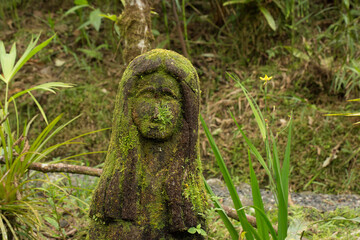 Ancient stone statue covered in moss getting reclaimed by nature