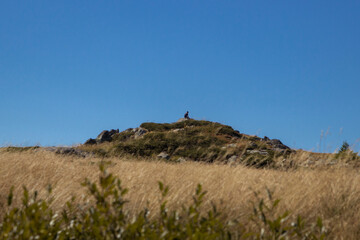 Bulgaria, the person meditating in the mountains 