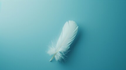 Obraz premium A minimalist blue background with a single, delicate white feather floating in the center