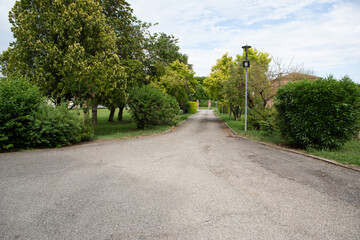 Empty asphalt road leading to country house surrounded by green trees