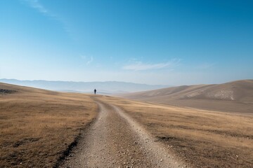 lone hiker on a vast empty trail with a clear sky