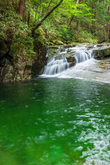 waterfall in the forest