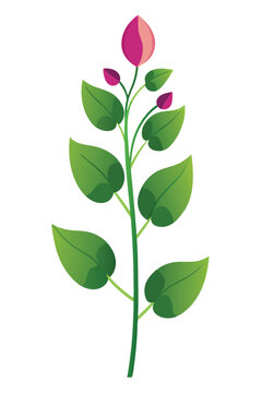 pink flower stem with green leaves clip art preview