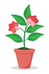 Fototapeta premium Impatiens plant minimal design vector illustration