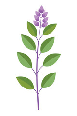 Obraz premium Lilac plant minimal design vector illustration