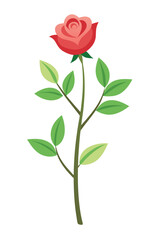 Obraz premium Rose plant minimal design vector illustration