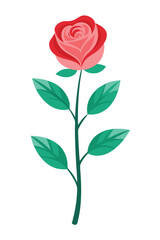 Fototapeta premium Rose plant minimal design vector illustration