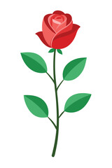 Fototapeta premium Rose plant minimal design vector illustration