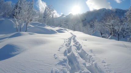 Obraz premium Footprints lead through a snowy landscape towards a majestic mountain range under a clear blue sky.