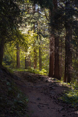 Bulgaria, footpath in the Balkans mountains