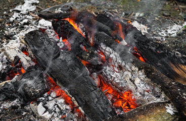 Hot coals. Burnt wood
