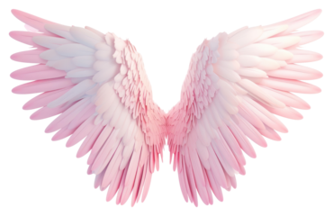 PNG Wing bird white background fragility.