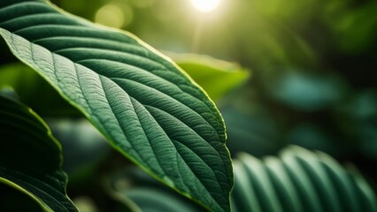  Vibrant life in natures embrace