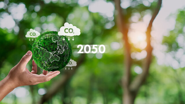 Hand of human holding earth with 2050 text, Carbon neutral and net zero concept for net zero greenhouse gas emissions target, Climate neutral long term strategy, Natural background.