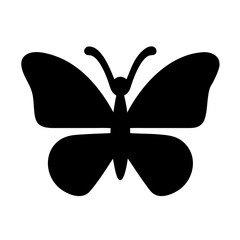 butterfly isolated on white