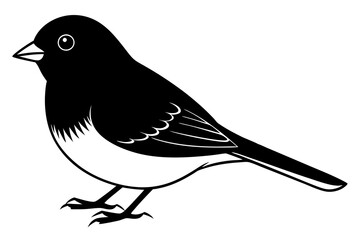 bird on a branch
